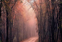 AC米兰球员发挥出色，但团队合作还需加强