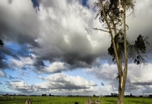 桑普多利亚锋线欠火力，客场难以取胜