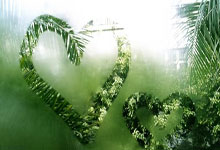 奇才后卫命中致胜球，带领球队完成大逆转