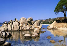 东亚足球豪强对决，精彩绝伦的比赛场面